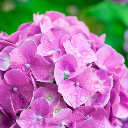 チーム名の由来